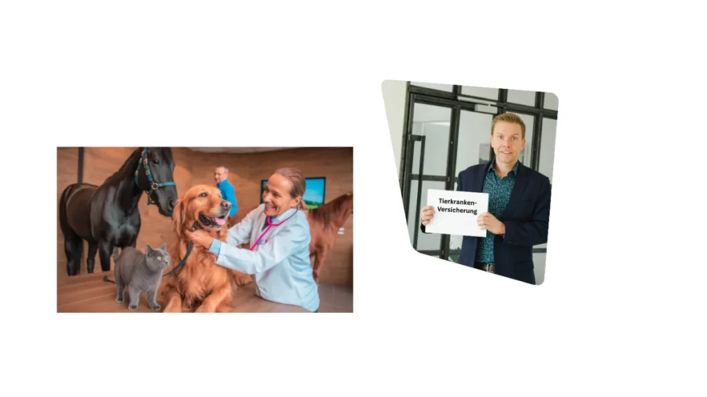 Tierkrankenversicherung – Absicherung von Tierarzt- und OP-Kosten für Ihr Haustier